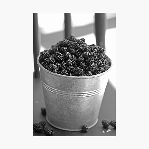 Summer Berries Photographic Print