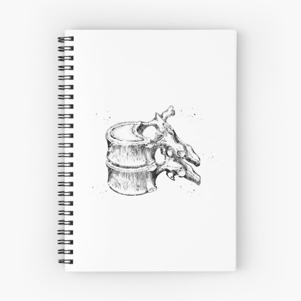 Item preview, Thoracic vertebrae designed and sold by Liededrom..