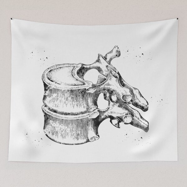 Item preview, Thoracic vertebrae designed and sold by Liededrom..