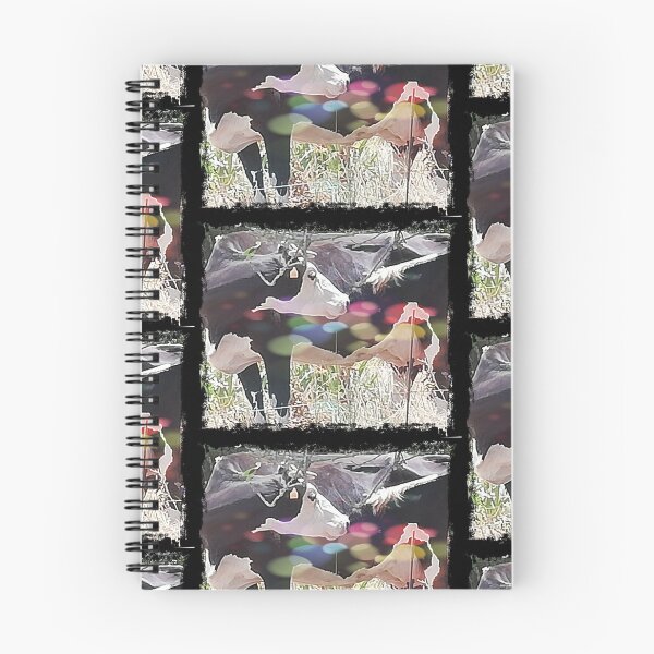 Item preview, The most beautiful cow in the world designed and sold by Kunterbuntes.