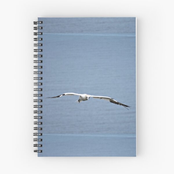 Item preview, Gannet flying designed and sold by Ms-Bexy.