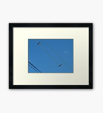 wire birds Framed Print
