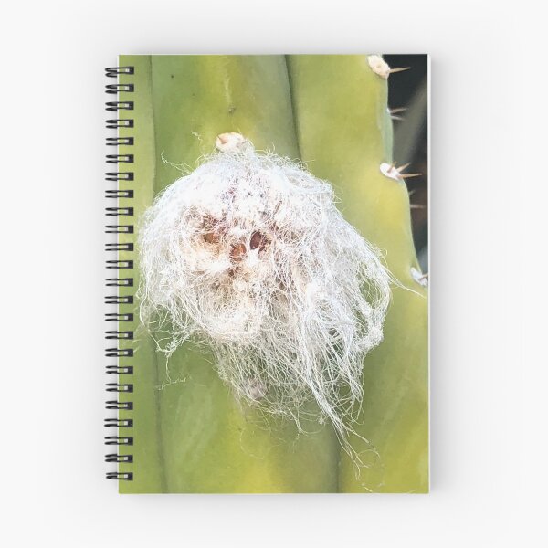 Artikelvorschau, Natures Halloween entworfen und verkauft von Mark Toyra.