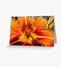 Day Lily For....AndreaEL Greeting Card