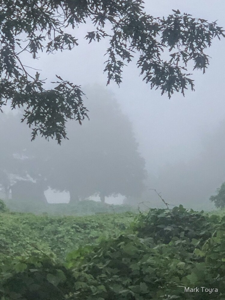 Aperçu 4 sur 4. Coque iPhone avec l'œuvre Foggy Morning créée et vendue par Smilingmark147.