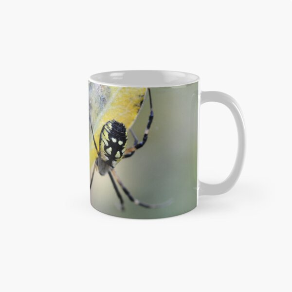 Item preview, Garden Orb Weaver designed and sold by LizardSpirit.