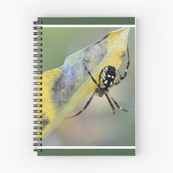 Item preview, Garden Orb Weaver designed and sold by LizardSpirit.
