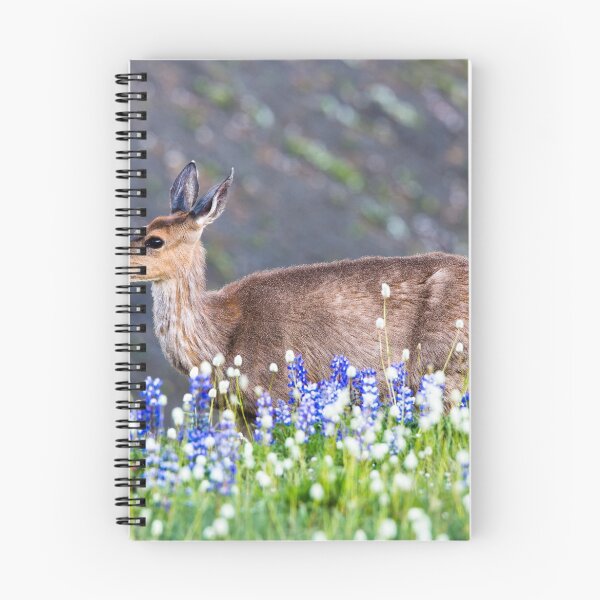 Item preview, Blacktail Doe  designed and sold by Jim Stiles.