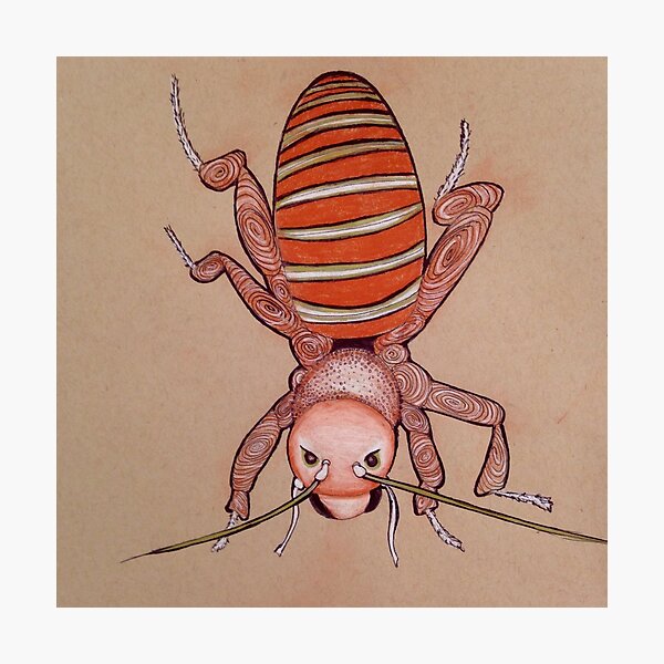 Doodle Bug Photographic Print