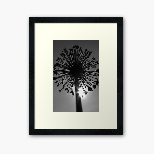 Eclipse Framed Art Print