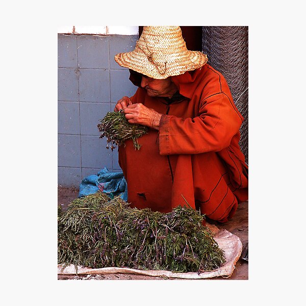 Aperçu de l'œuvre The Old Herb Seller. créée et vendue par romaro.
