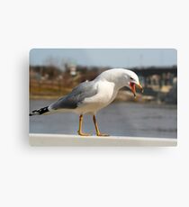 Talk..Talk..Talk!! Metal Print