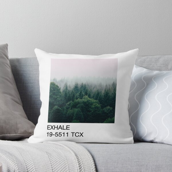 Item preview, Pantone Exhale designed and sold by erinecrossen.