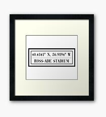 Ross-Ade Stadium Framed Print
