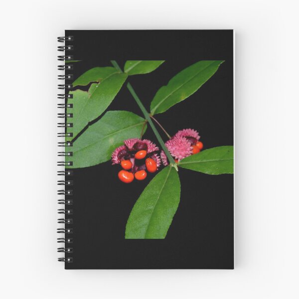 Item preview, Euonymus designed and sold by Jon Williams.