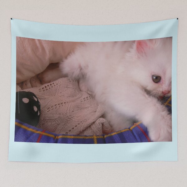 Item preview, White Persian Fluffy Baby Cat Vanda Playing (Photo by ACCI) designed and sold by VanyssaGraphics.