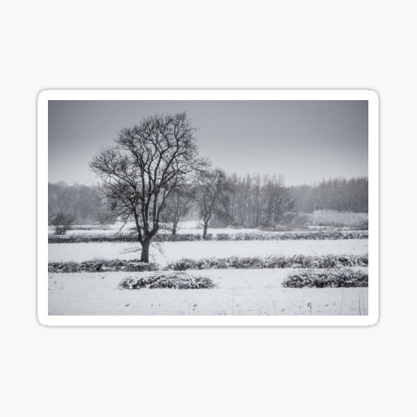 Snow over Clifton Sticker