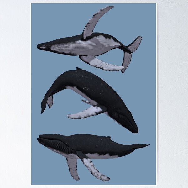 Item preview, Humpback Whales designed and sold by azule1.