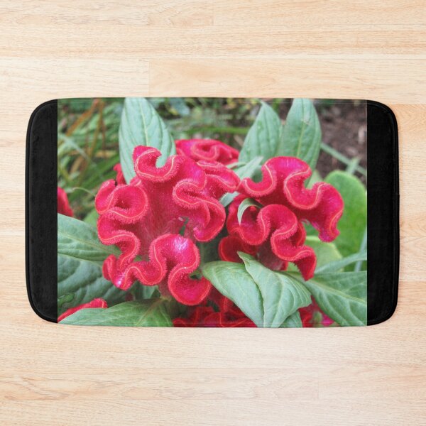Item preview, Celosia cristata designed and sold by lezvee.