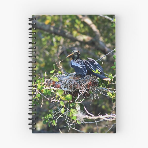 Item preview, Anhinga Mama designed and sold by Michiale.