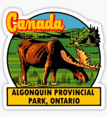 Algonquin Provincial Park Ontario Vintage Travel Decal Sticker