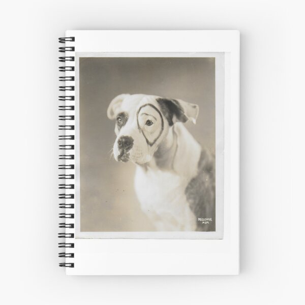 Item preview, Pete Our Gang Little Rascals Actor Petey Dog designed and sold by Jonathan  Green.