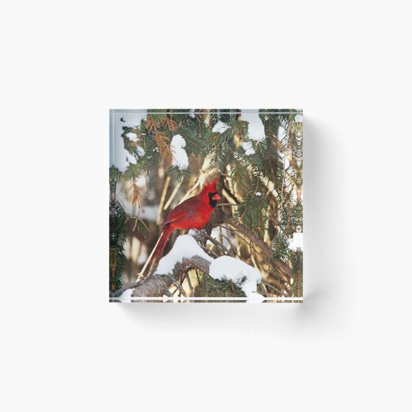 Item preview, Northern Cardinal In Winter designed and sold by Deb Oppermann.