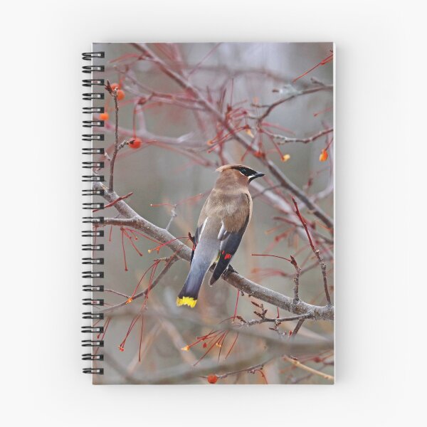 Item preview, Life Is Good designed and sold by Deb Oppermann.