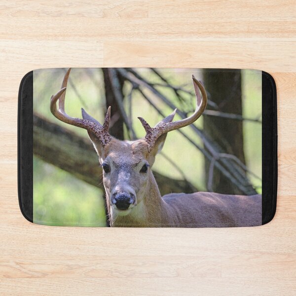 Item preview, White Tailed Buck Portrait II designed and sold by Deb Oppermann.