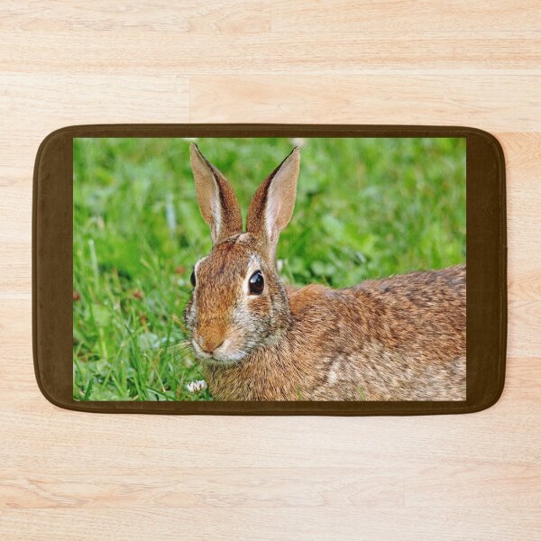 Item preview, Alert Cottontail designed and sold by Deb Oppermann.