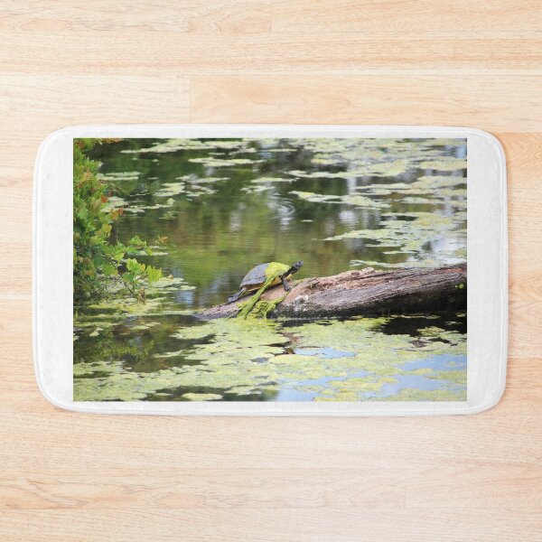 Item preview, A Slimy Turtle designed and sold by Cynthia48.