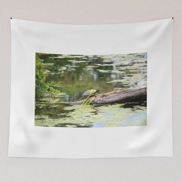 Item preview, A Slimy Turtle designed and sold by Cynthia48.
