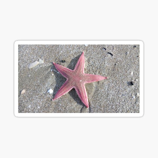 Item preview, Seastar designed and sold by pierredubrelle.