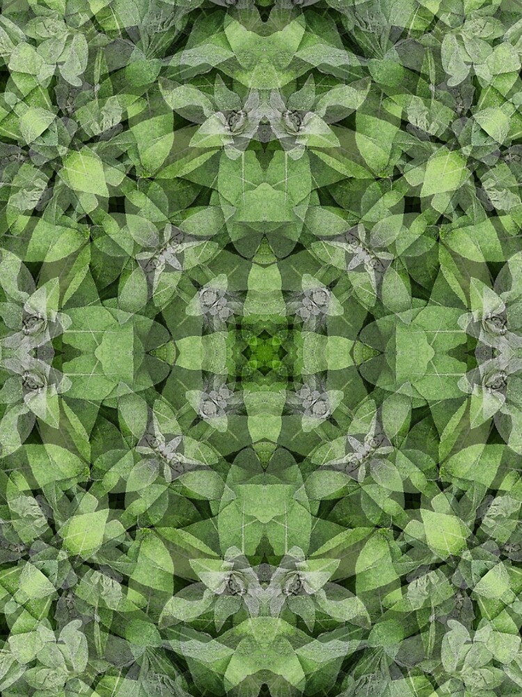 LAMB'S EARS MANDALA by JeffBossler