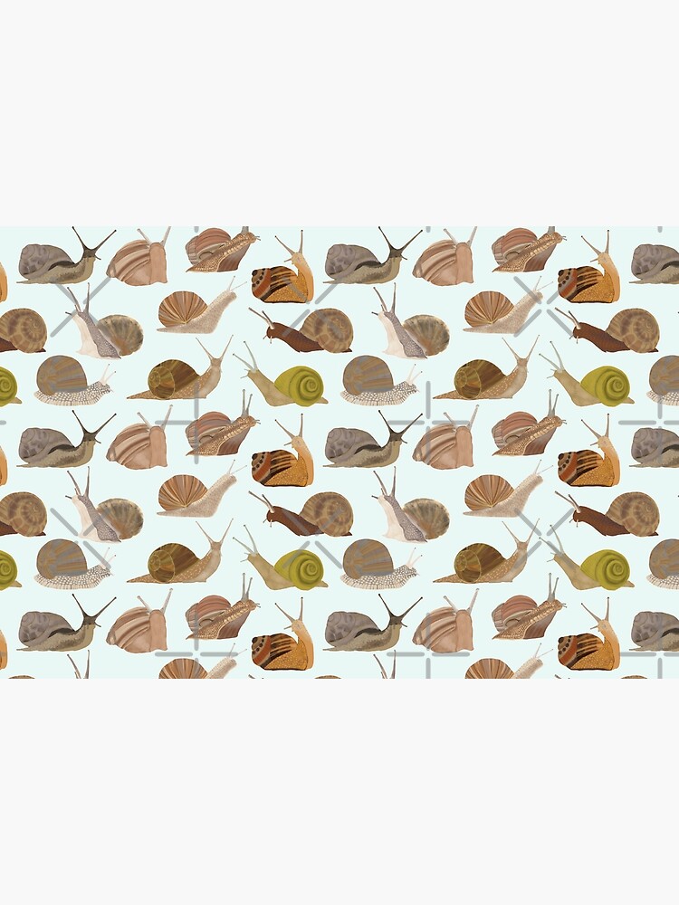 Snails by amymh