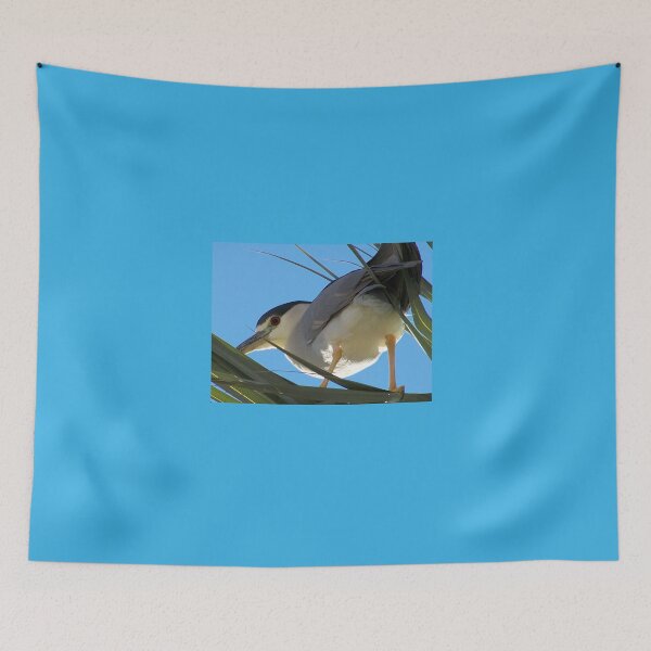 Item preview, Black-Crowned Night Heron designed and sold by RichImage.