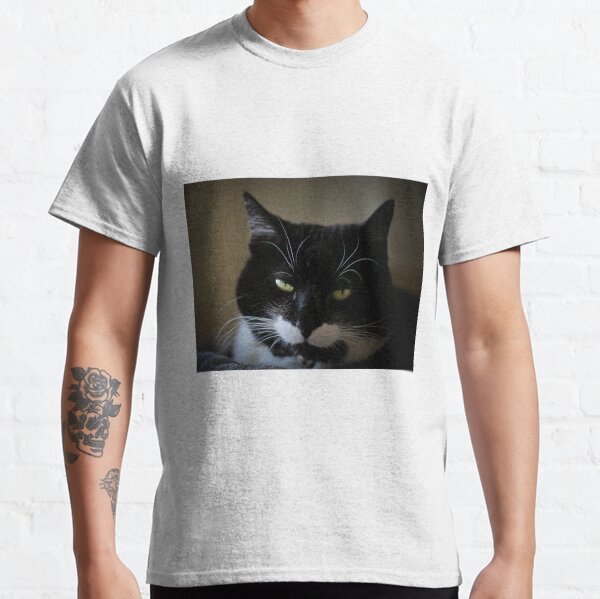 Katze, Kurzhaarkatze Classic T-Shirt