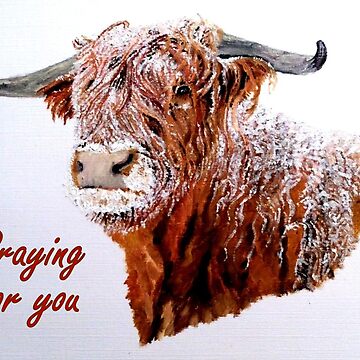 Artwork thumbnail, Snowy Highland Cow - Praying for You Card by EuniceWilkie