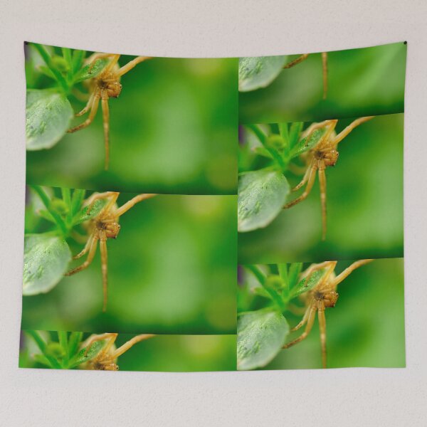 Item preview, Hello designed and sold by duncandragon.