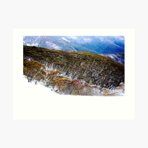 Hotham Heights Art Print