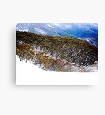 Hotham Heights Canvas Print