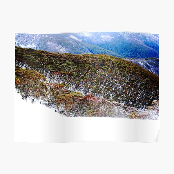 Hotham Heights Poster