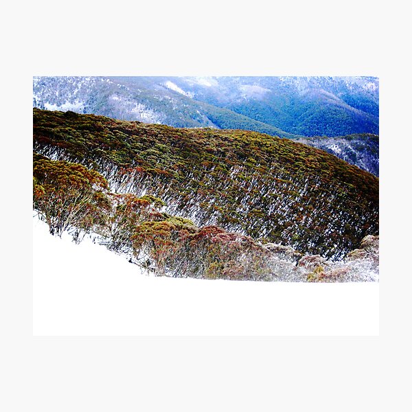 Item preview, Hotham Heights designed and sold by Shane Gilbert.