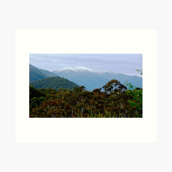 Item preview, Victoria High Country designed and sold by Shane Gilbert.