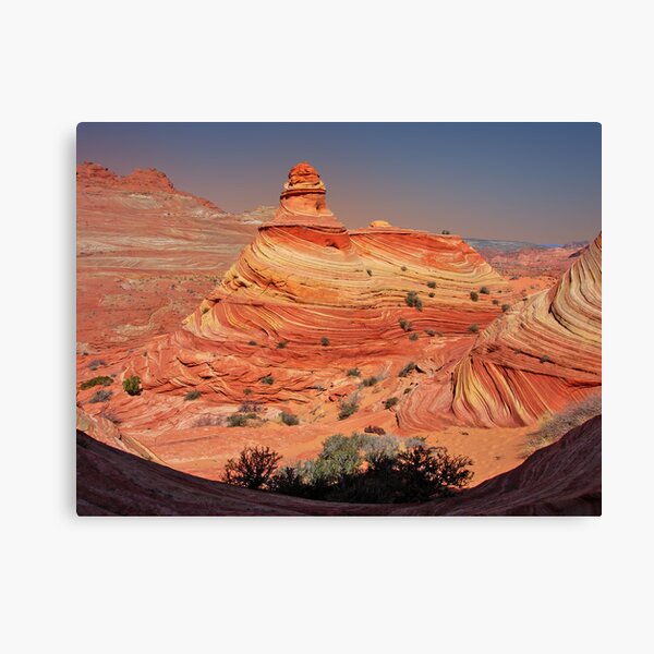 Serendipity Canvas Print