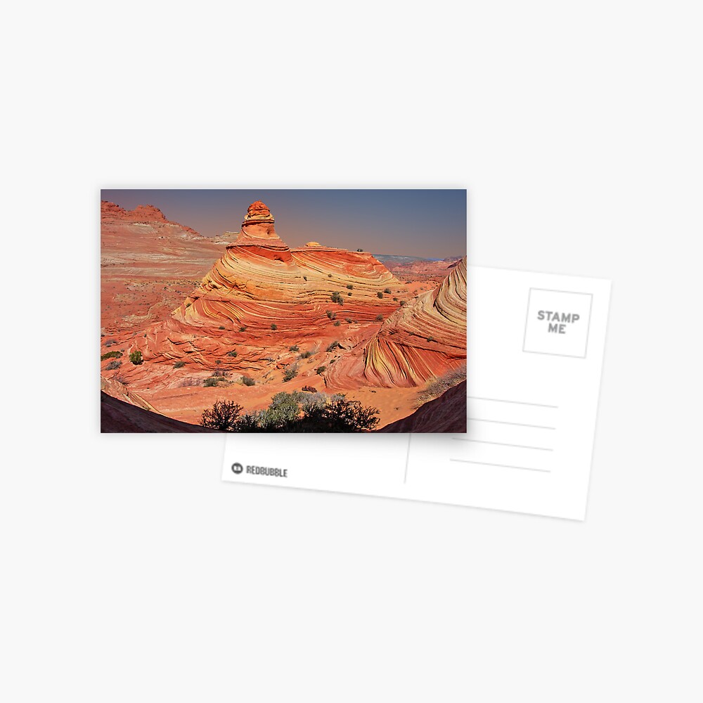 Serendipity Postcard