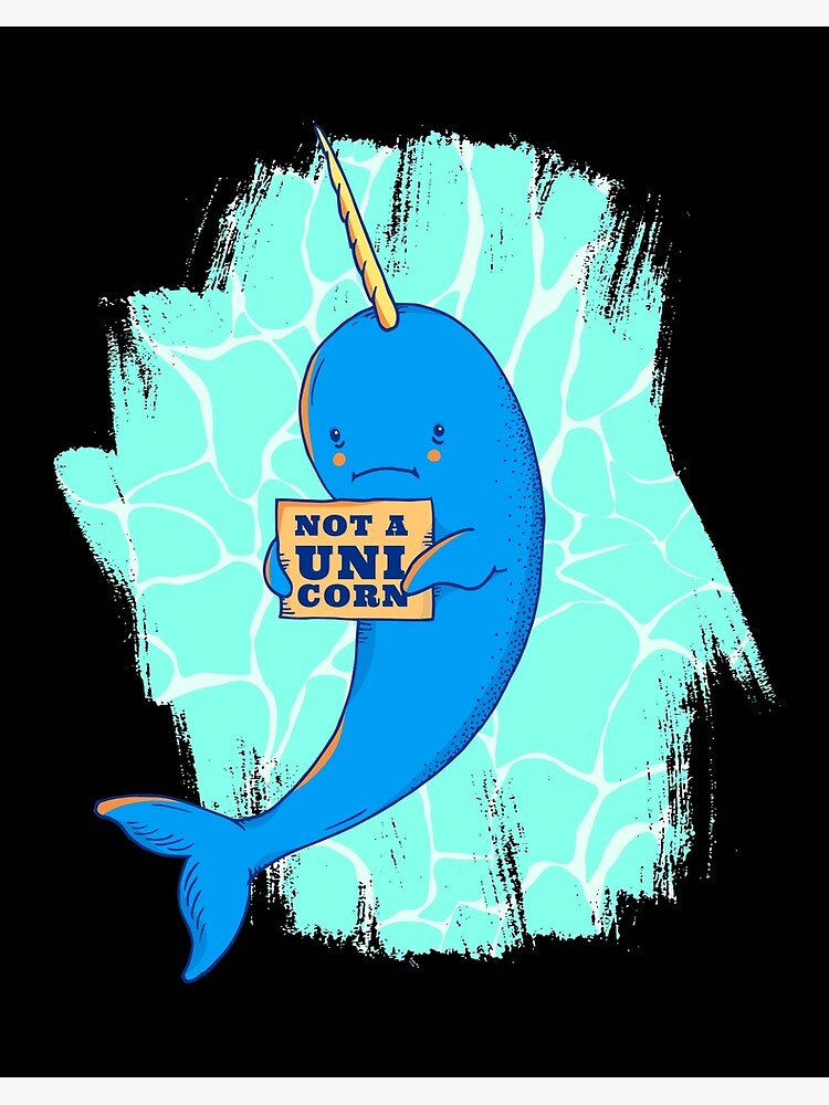 Dolphin Dolphin
