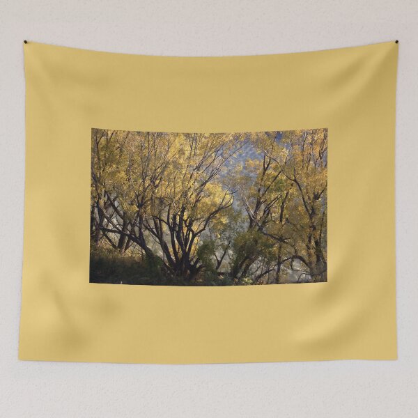 Item preview, Gold Season designed and sold by coffeebean.