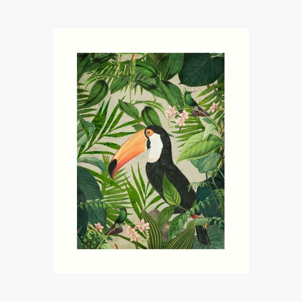 Toucan And Hummingbirds Art Print