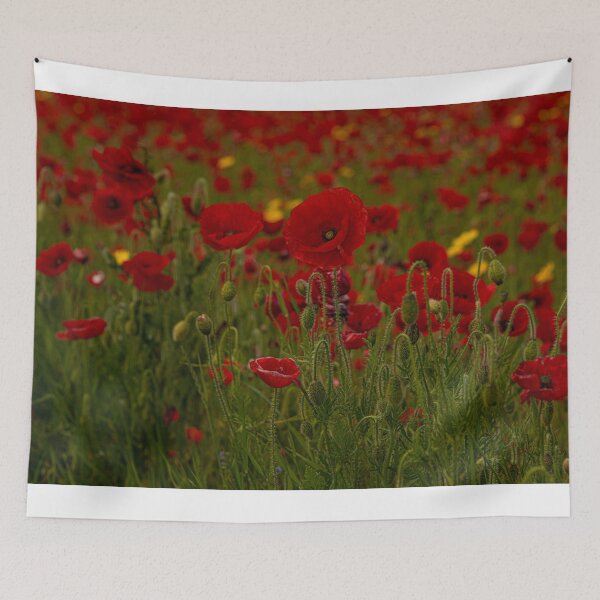Item preview, Red-poppies-of-West-Pentire-Cornwall designed and sold by kathleenjean.